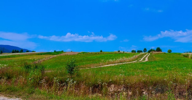 Estrada rural e campos no fundo do azul