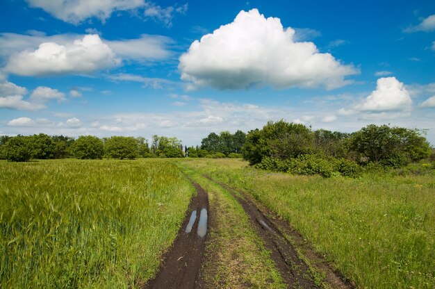 estrada rural em campo verde