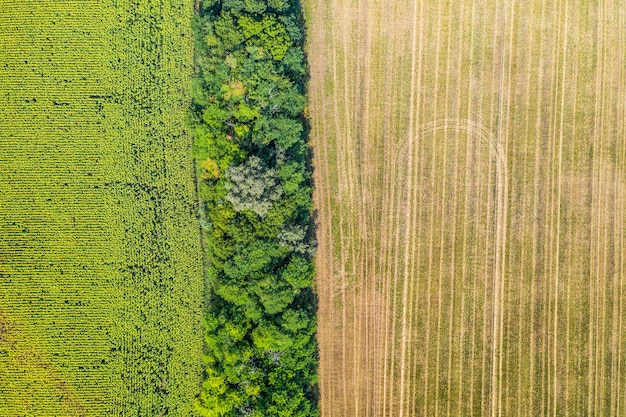 Estrada rural entre campos agrícolas Campos superiores de drones aéreos na vista aérea superior de terras agrícolas