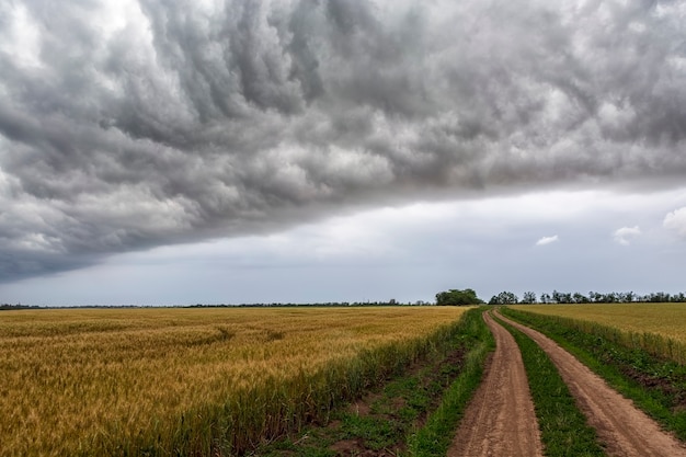 Estrada rural entre campos em uma tempestade de verão