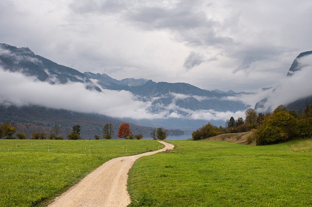 Estrada rural no vale verde.