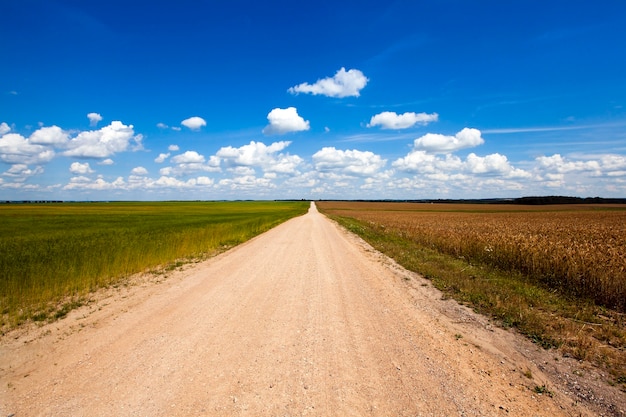 Estrada rural no verão