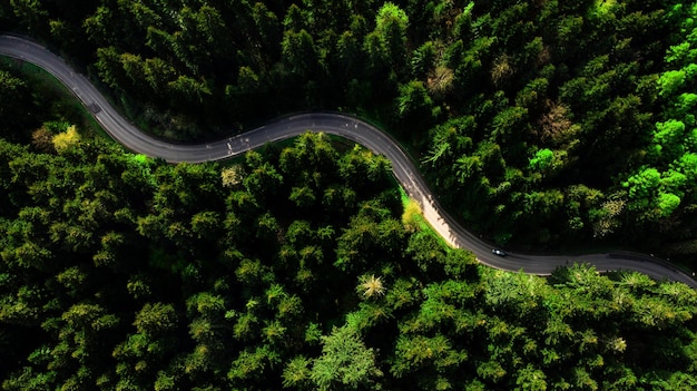 Estrada rural sinuosa através da floresta Vista aérea de cima para baixo do drone