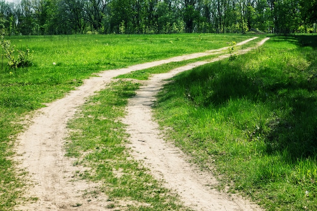 Estrada rural sinuosa para floresta em dia de verão