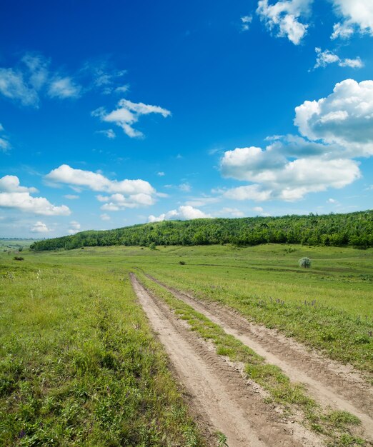 estrada rural sob céu nublado com árvore