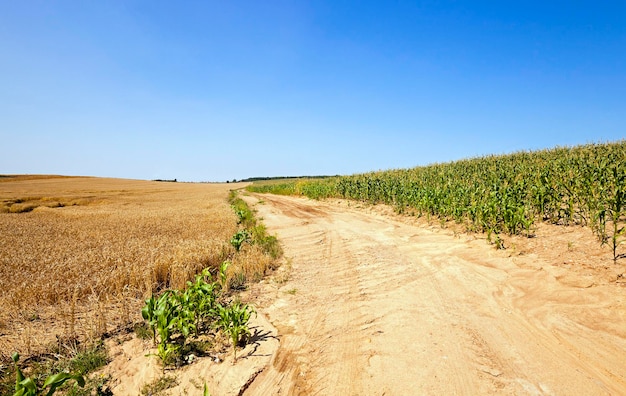 estrada rural