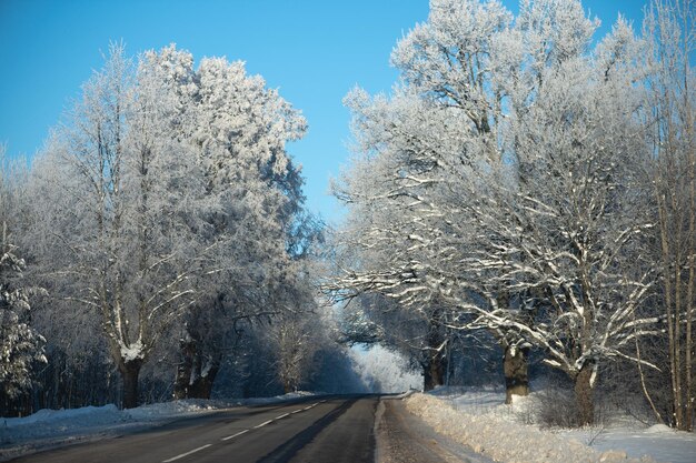 Estrada secundária em uma paisagem de inverno com árvores congeladas e lindo céu azulxAxAxAxAxAxAxA