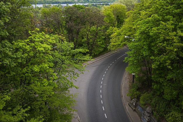 Foto estrada sinuosa cercada por árvores, vista aérea