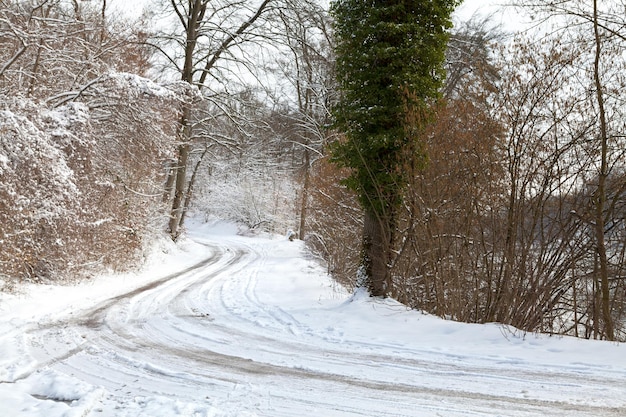 Estrada sinuosa coberto de neve no inverno