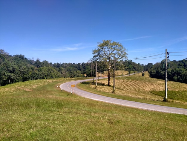 estrada sinuosa na zona rural