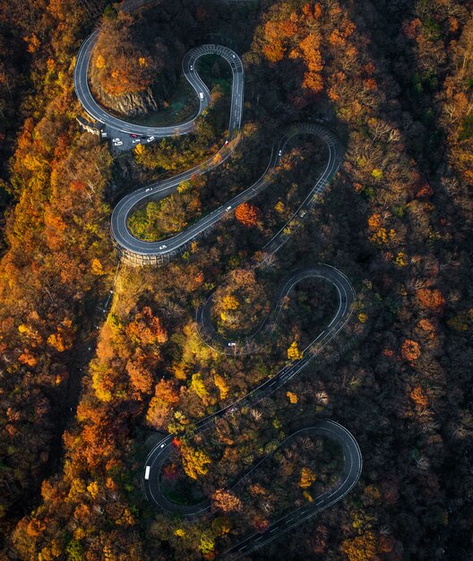 Estrada sinuosa no outono no japão