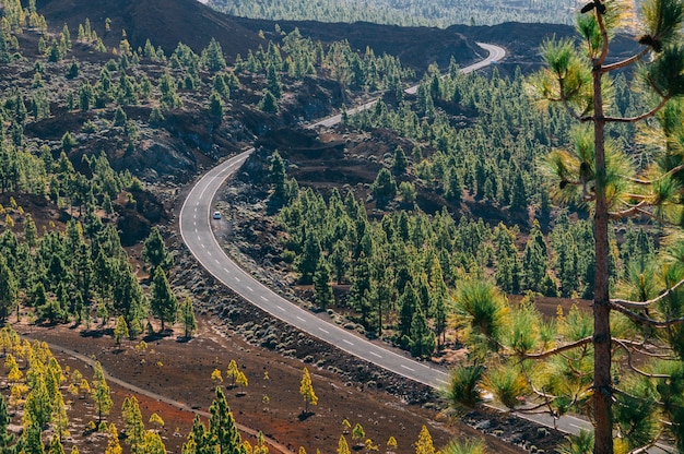 Estrada sinuosa no Parque Nacional Teide, Tenerife