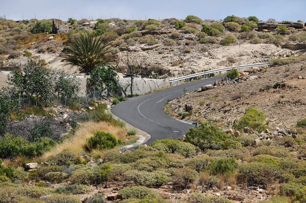 Estrada solitária no deserto Tenerife Ilhas Canárias