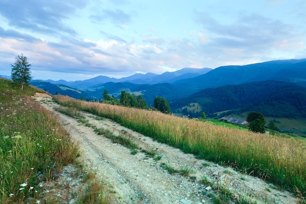 Estrada suja através da pradaria florida à noite na montanha