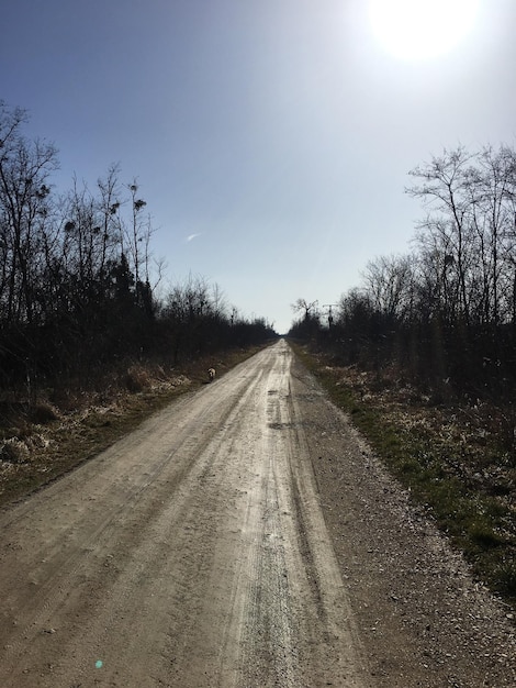 Foto estrada vazia ao longo da paisagem rural