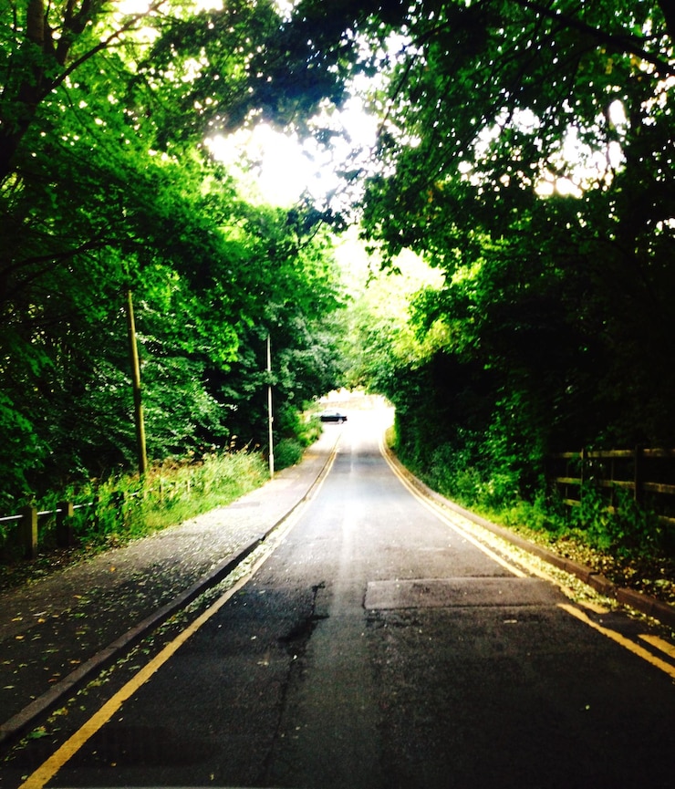 Foto estrada vazia ao longo das árvores