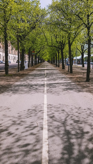 Foto estrada vazia ao longo de árvores e plantas na cidade