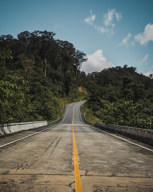 Foto estrada vazia ao longo de árvores e plantas