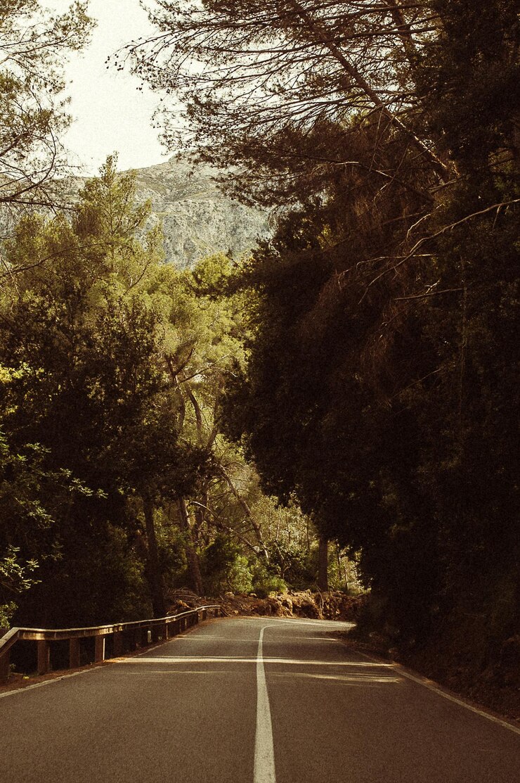 Foto estrada vazia ao longo de árvores e plantas
