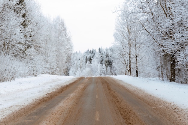 Foto estrada vazia através da bela floresta de inverno