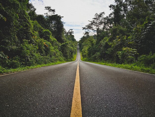 Foto estrada vazia em meio a árvores contra o céu nublado