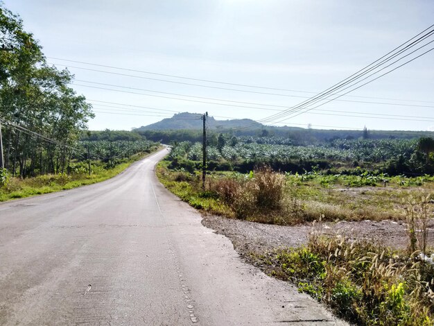 Foto estrada vazia em meio a árvores contra o céu