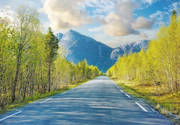 Estrada vazia idílica cercada por árvores e florestas no verão Rua ou estrada deserta e cênica com belas paisagens de férias Caminho de estrada misterioso pacífico para viajar no campo