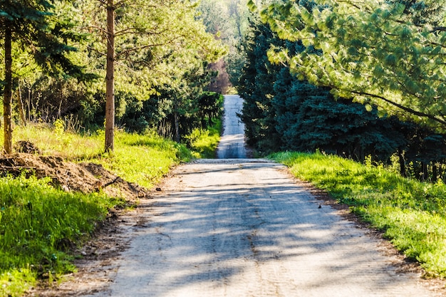 Estrada vazia indo para longe em um parque verde