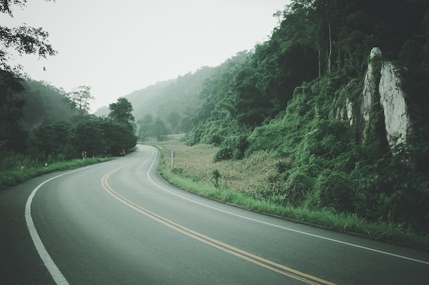 Estrada vazia na floresta contra o céu limpo durante o tempo neblinho