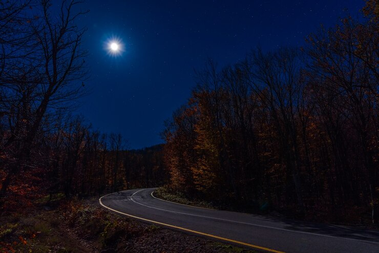 Estrada vazia na floresta de outono em uma noite de luar