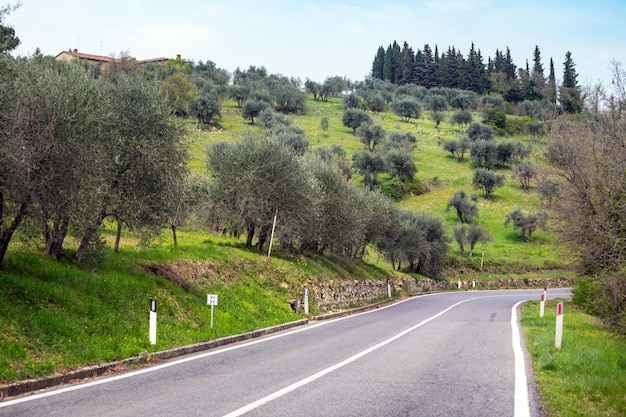 Estrada vazia na Toscana