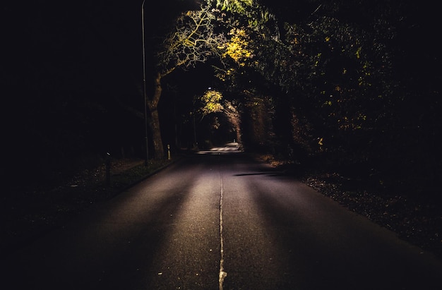 Estrada vazia no meio das árvores à noite