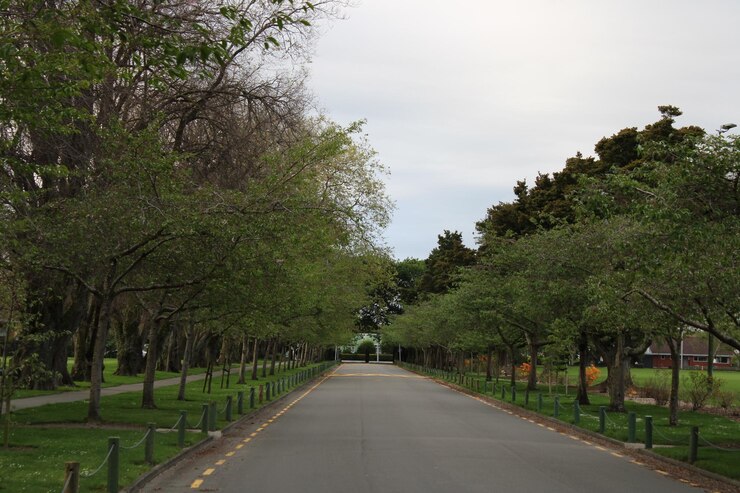 Foto estrada vazia no meio das árvores