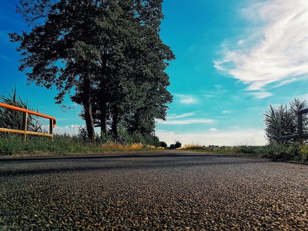 Foto estrada vazia por árvores contra o céu azul