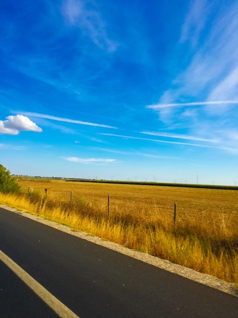 Estrada vazia por uma paisagem gramada contra o céu azul