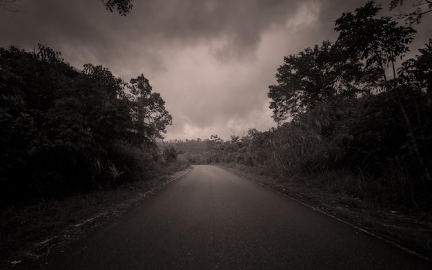 Foto estrada vazia rural com floresta