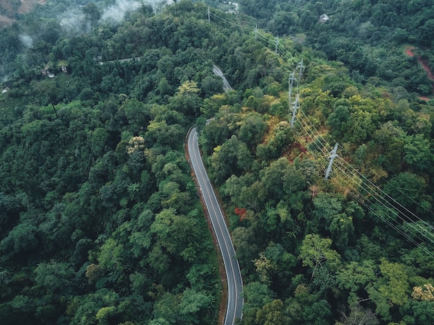 Estrada verde montanha acima na estação das chuvas A estrada na floresta