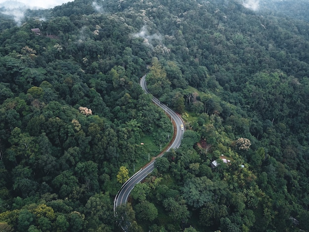 Estrada verde montanha acima na estação das chuvas A estrada na floresta