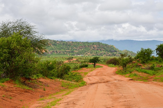 Estrada vermelha na savana em Tsavo East Kenya África