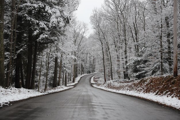 Foto estradas de inverno