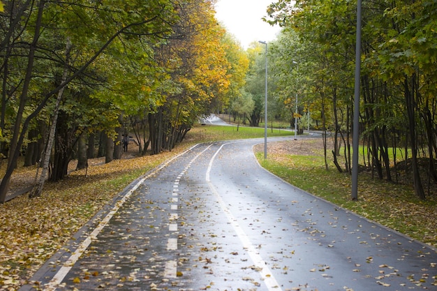 Estradas de outono no parque espalhadas com folhas caídas Golden Autumn