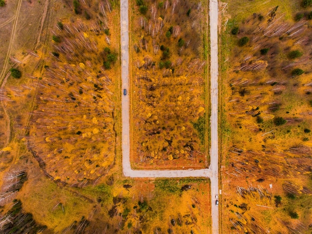 estradas no parque de outono foram removidas do topo por um drone