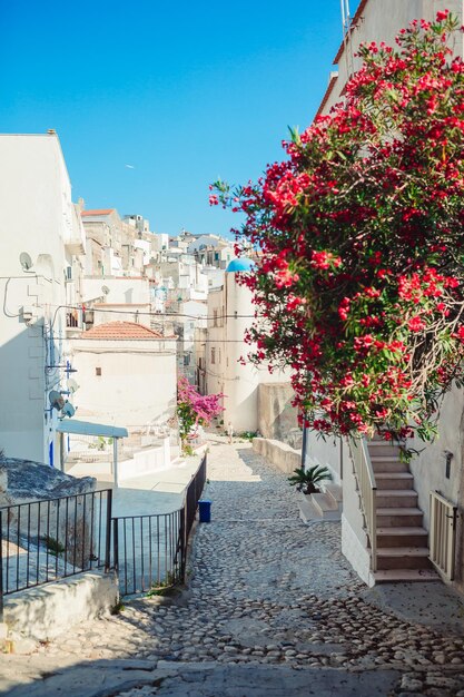 Foto las estrechas calles de la isla con balcones azules escaleras y flores