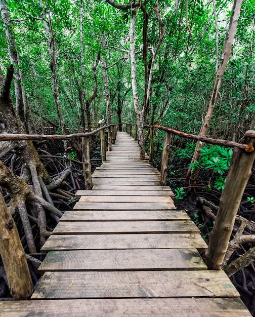 Estrecho puente de madera