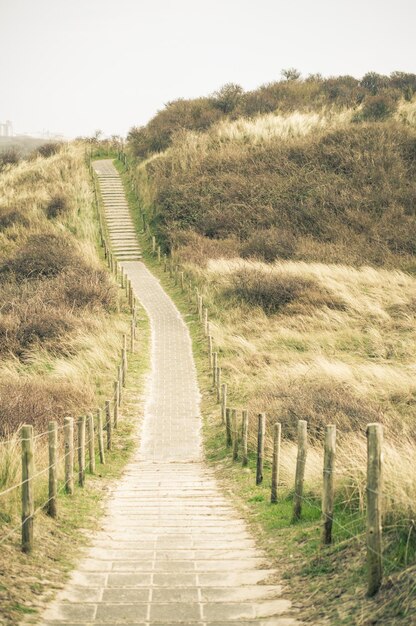 Foto estrecho sendero que conduce a los escalones en la colina cubierta de hierba