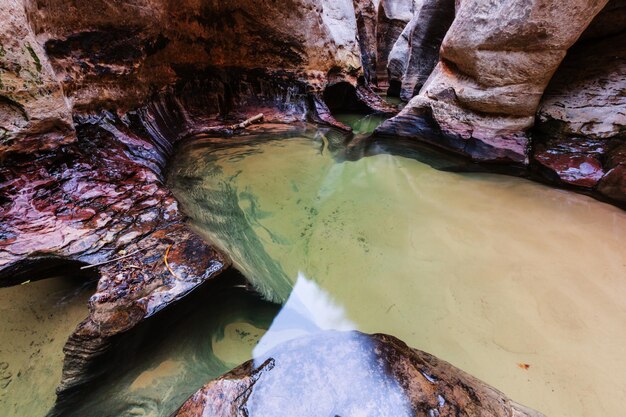 Estrechos en el Parque Nacional Zion, Utah