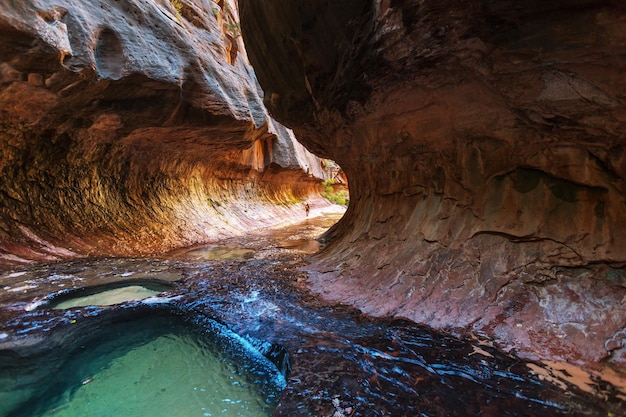 Estrechos en el Parque Nacional Zion, Utah