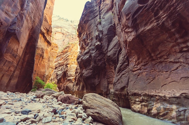 Estrechos en el Parque Nacional Zion, Utah