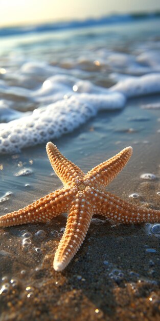 Foto estrela de mar na praia conceito de verão