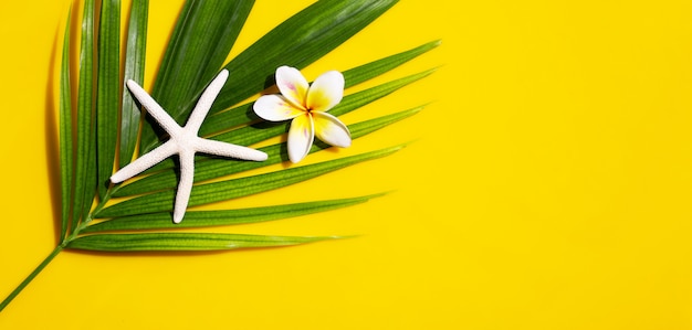 Estrela do mar com flor plumeria ou frangipani em folhas de palmeira tropical em fundo amarelo. aproveite o conceito de férias de verão. vista do topo